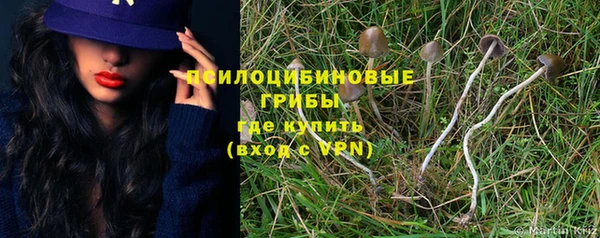 дурь Дмитриев