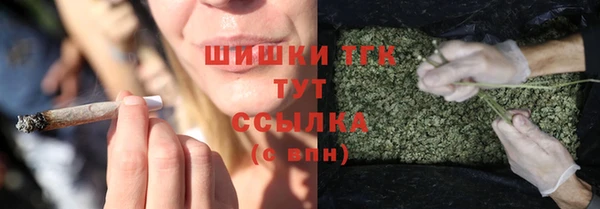 дурь Дмитриев