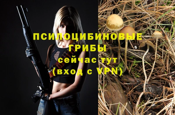 дурь Дмитриев